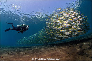 At the end of the dives at the drop off in Tulamben we of... by Christian Schlamann 